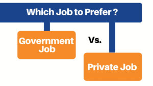 government or private job